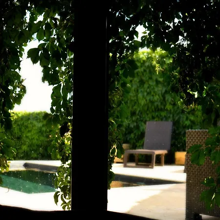 El Bornizo Con Psicina Jacuzzi Climatizado Barbacoa Y Jardin En Salamanca Villa Pastores