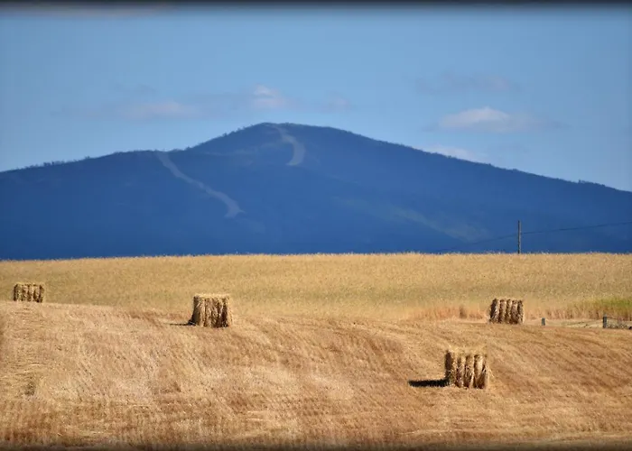 El Bornizo Con Psicina Jacuzzi Climatizado Barbacoa Y Jardin En Salamanca Villa